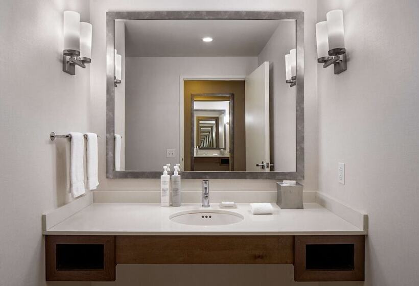 סוויטת ג'וניור, Hilton Garden Inn Downtown Dallas