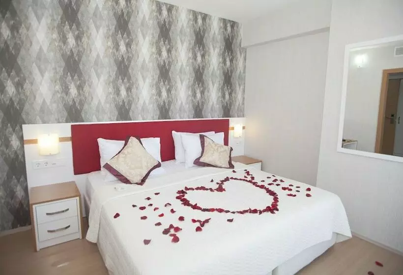 اتاق استاندارد یک نفره, Samsun Konaks
