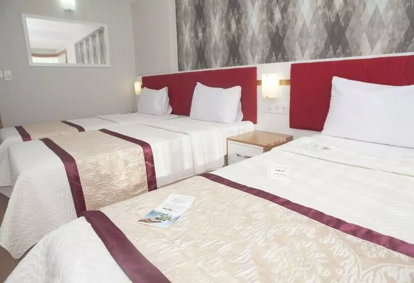 اتاق استاندارد سه نفره, Samsun Konaks