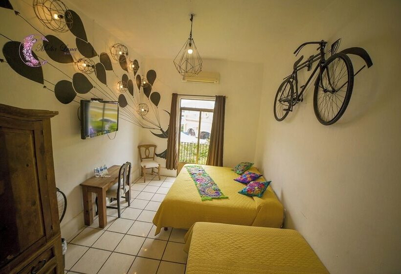 غرفة عائلية, Media Luna