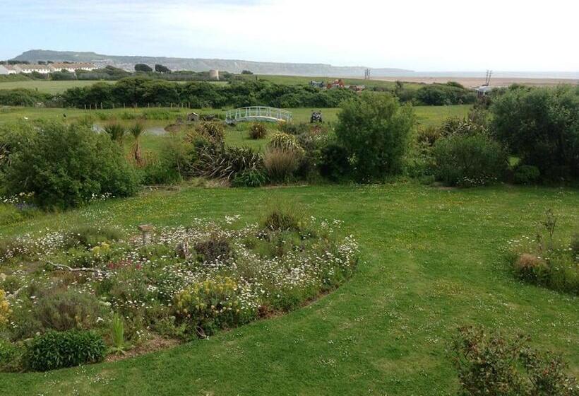 Номер Стандарт, Swallows Rest