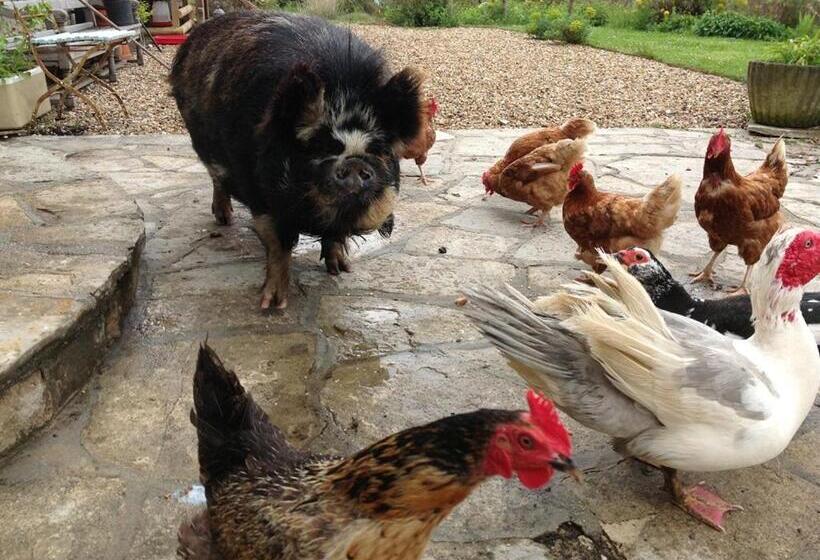 Номер Стандарт, Swallows Rest