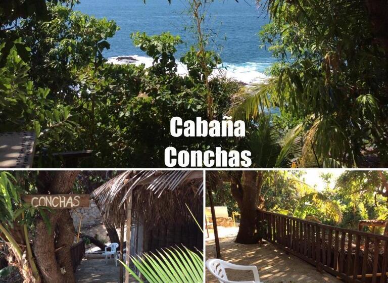 スタンダードバンガロー, Donde Mira El Sol, Abierto Y Funcionando Promo 50 Por Ciento