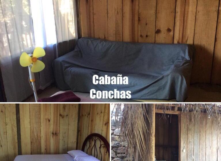 スタンダードバンガロー, Donde Mira El Sol, Abierto Y Funcionando Promo 50 Por Ciento