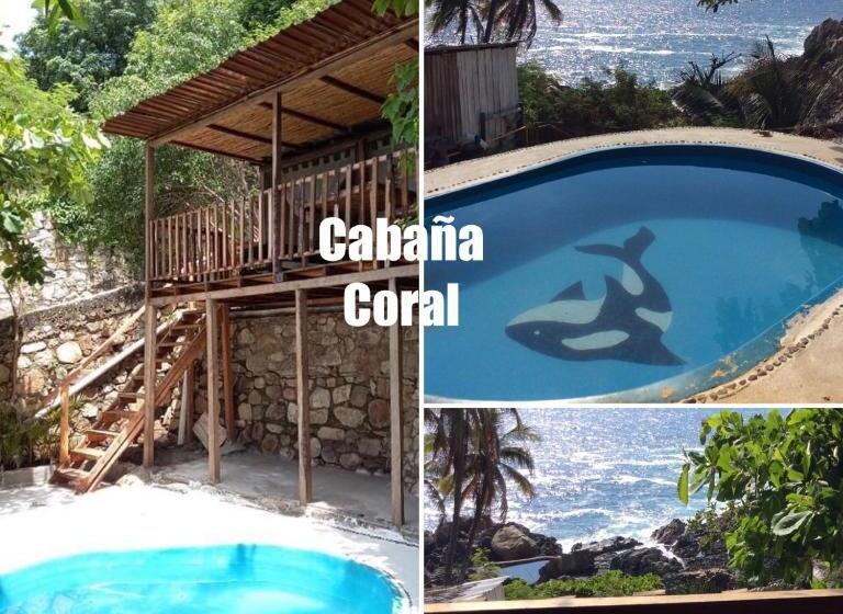 オーシャンビューのスタンダードバンガロー, Donde Mira El Sol, Abierto Y Funcionando Promo 50 Por Ciento