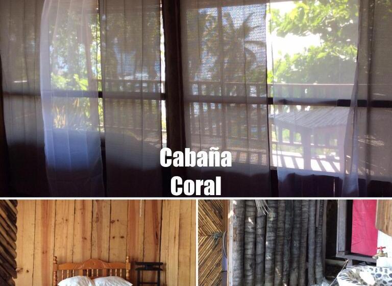 オーシャンビューのスタンダードバンガロー, Donde Mira El Sol, Abierto Y Funcionando Promo 50 Por Ciento