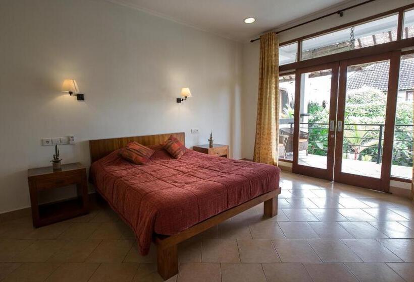 스탠다드 룸 풀장 전망, Ecosfera Hotel, Yoga & Spa