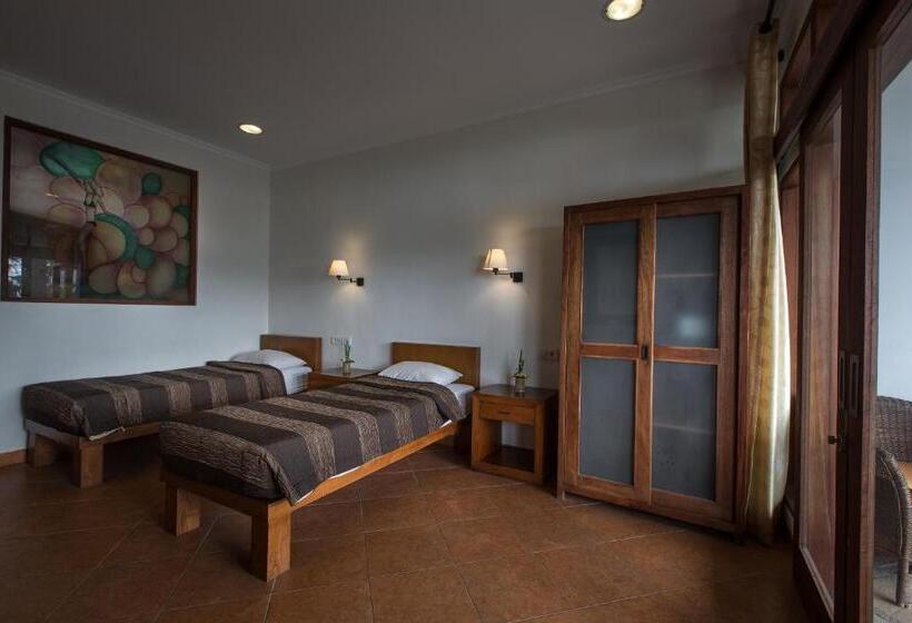 스탠다드 룸 풀장 전망, Ecosfera Hotel, Yoga & Spa