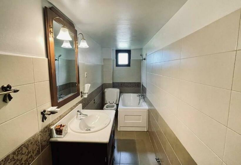 דירת חדר, Pensiunea Adolescenta