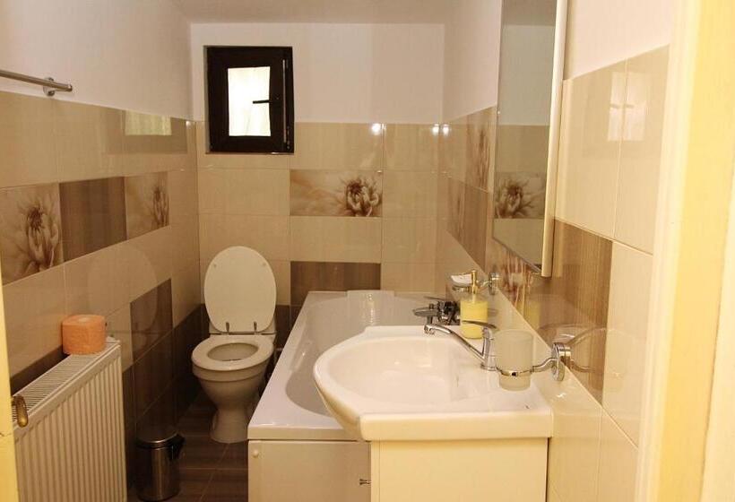 חדר סטנדרט, Pensiunea Adolescenta