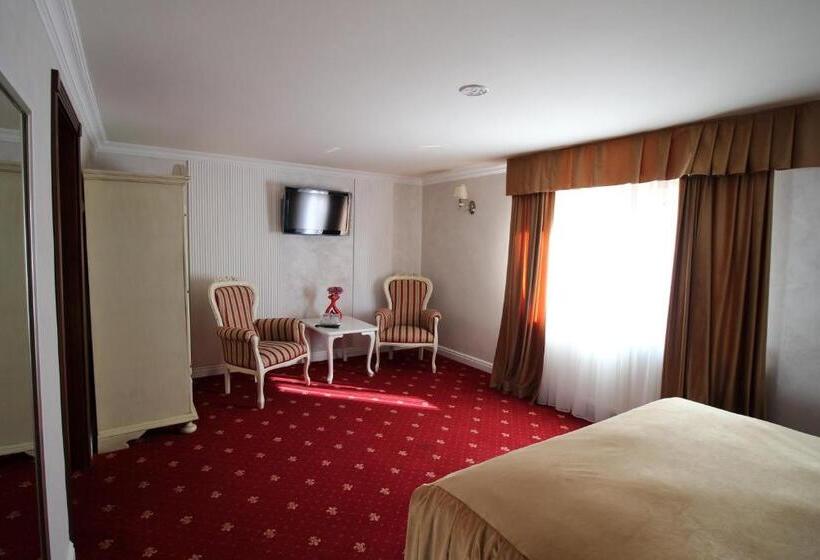 דירת חדר, Pensiunea Adolescenta