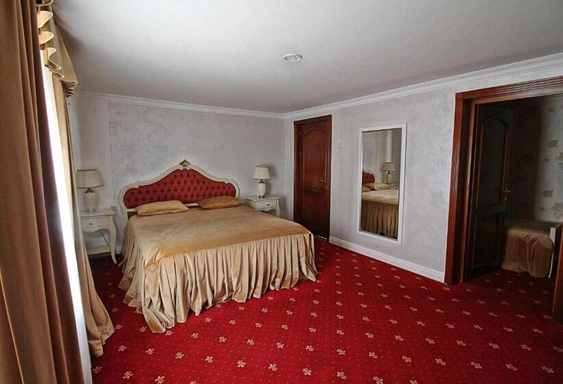 דירת חדר, Pensiunea Adolescenta