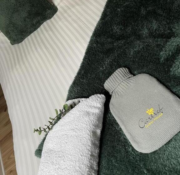 基本间, Cartref Guest House