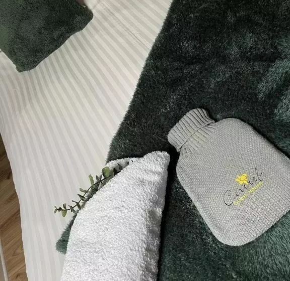 ベーシックルーム, Cartref Guest House