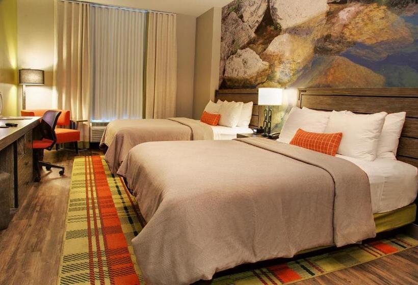 标准间, Indigo Traverse City, An Ihg