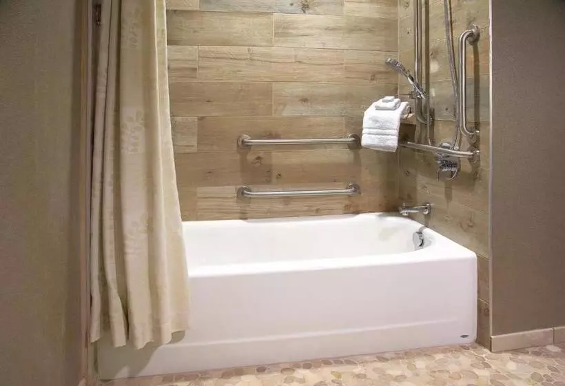 身障者適用キングサイズベッドルーム, Indigo Traverse City, An Ihg