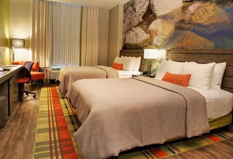 ２ダブルベッドのスタンダードルーム, Indigo Traverse City, An Ihg