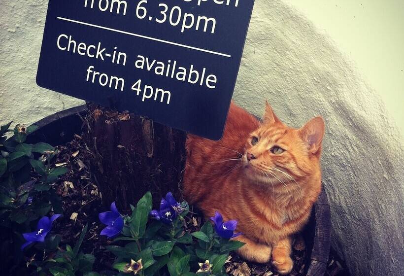 חדר סטנדרט לשלושה, The Waterwheel