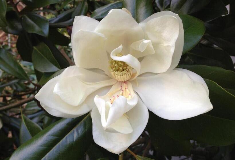 חדר סטנדרט לשלושה, The Waterwheel