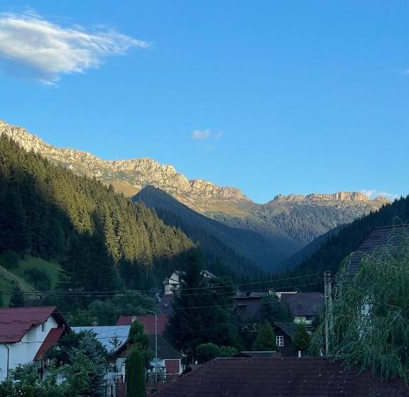 غرفة ديلوكس, Pensiunea Padurea Verde