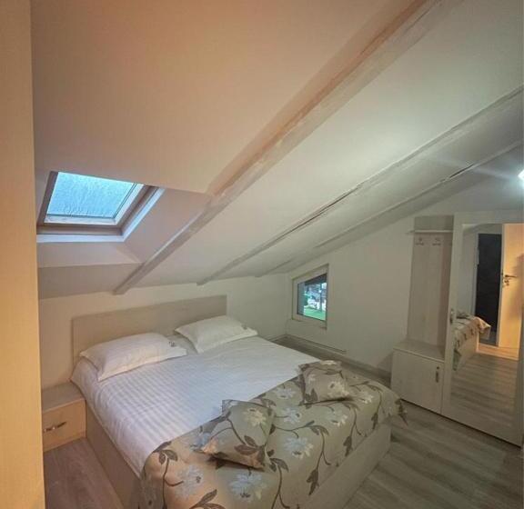 غرفة إقتصادية, Pensiunea Padurea Verde