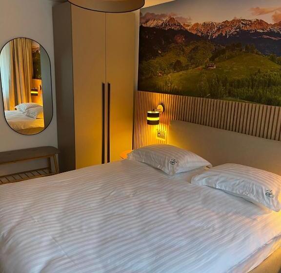 إستوديو ديلوكس, Pensiunea Padurea Verde