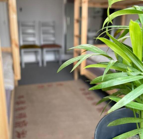 Четырехместный Номер Стандарт, Breakers Guest House