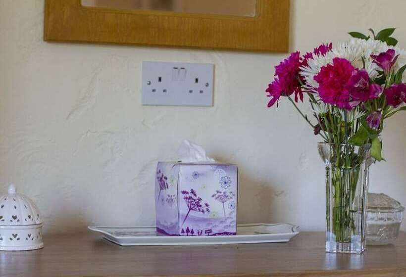 Номер Superior, Magpies Lodge