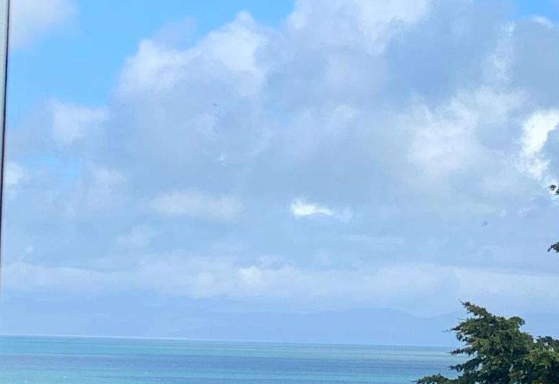 海景套房, The Wylfa