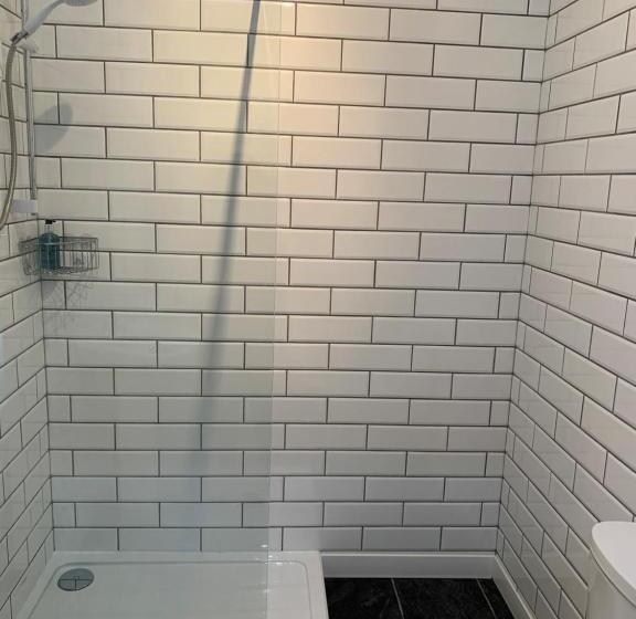 带大床的标准间, The Wylfa