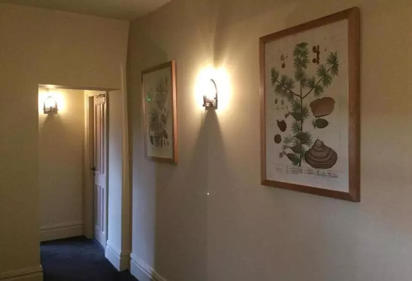 Family Room, Derby Arms