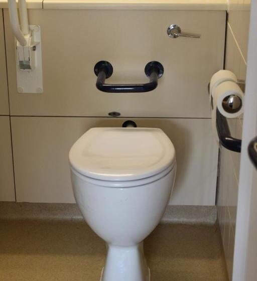 Номер Стандарт Адаптированный для Инвалидов, Redwings Lodge Baldock