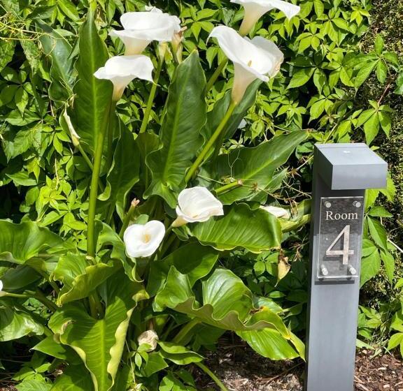 חדר דלוקס נוף לגינה, Bradleigh Lodge