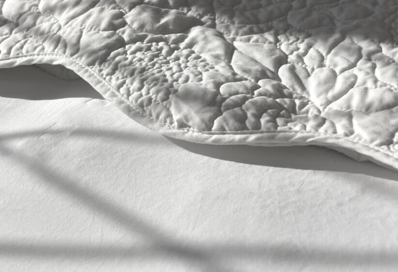 スタンダードルーム, Ward Avenue B&b