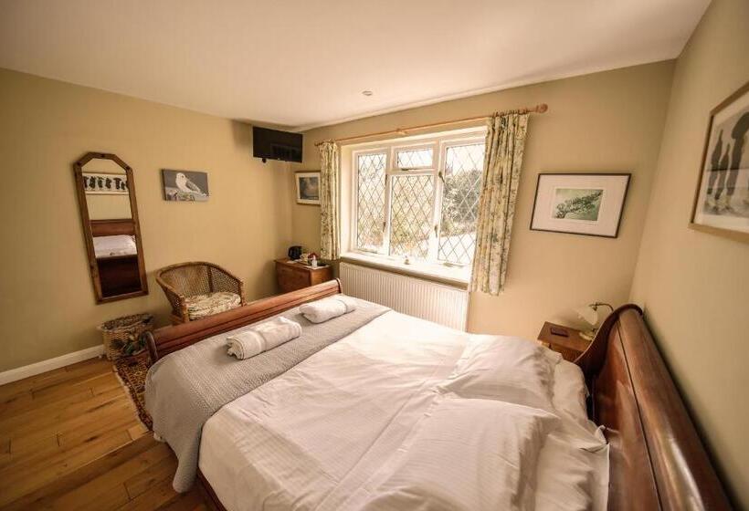 スタンダードルーム, Ward Avenue B&b