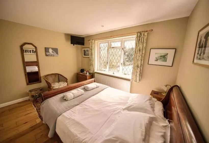 スタンダードルーム, Ward Avenue B&b