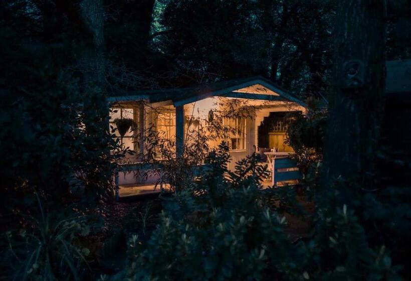 シャレー1寝室, Ward Avenue B&b