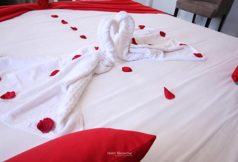 スパアクセス付きのスーペリアルーム, Bienestar Termas De Vizela