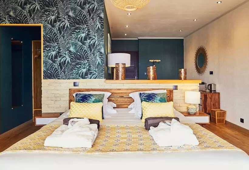 身障者適用スタンダードルーム, Domaine De Chalvêches Hôtel Spa 4