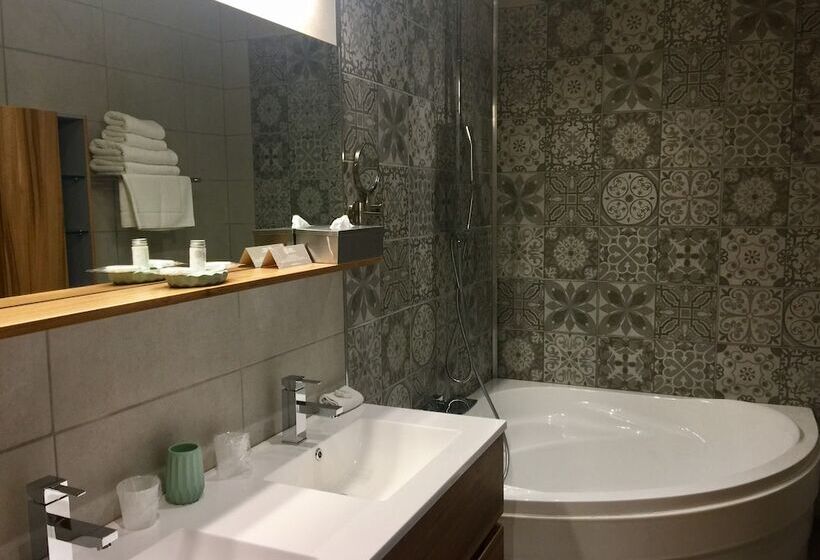 Номер Стандарт Адаптированный для Инвалидов, Domaine De Chalvêches Hôtel Spa 4