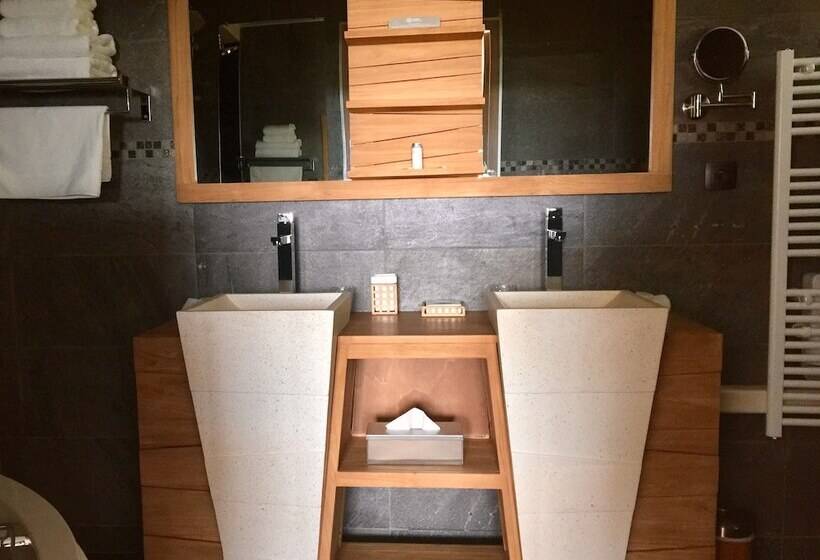 Номер Стандарт Адаптированный для Инвалидов, Domaine De Chalvêches Hôtel Spa 4