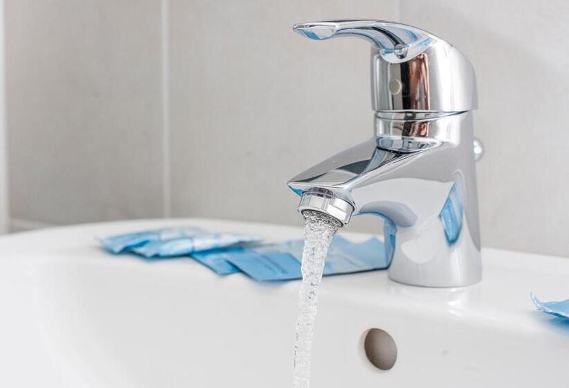 Habitació Estàndard, Geminus B&b