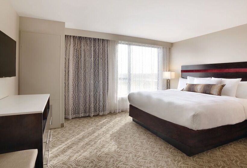 חדר סטנדרט, Holiday Inn Chicago Schaumburg, An Ihg