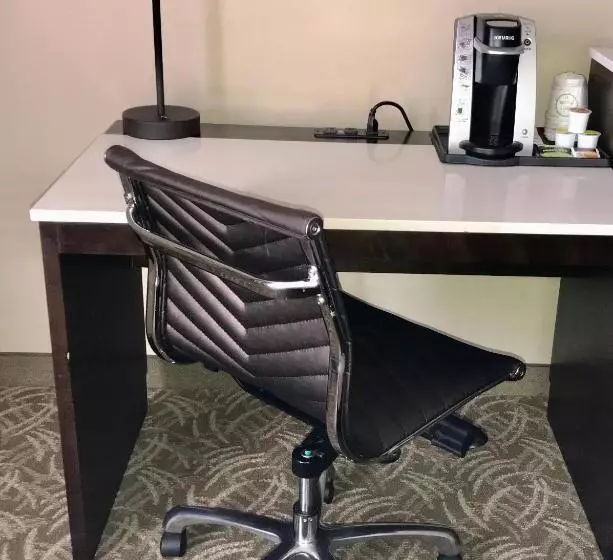 身障者適用キングサイズベッドルーム, Holiday Inn Chicago Schaumburg, An Ihg
