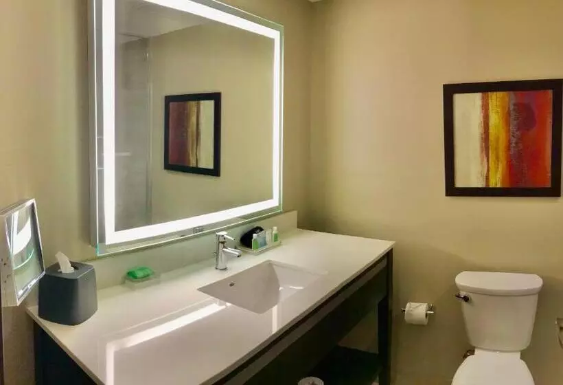 キングサイズベッドのスタンダードルーム, Holiday Inn Chicago Schaumburg, An Ihg