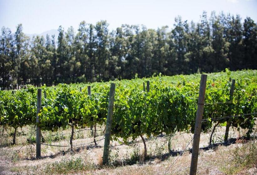 غرفة قياسية, Manley Wine Estate