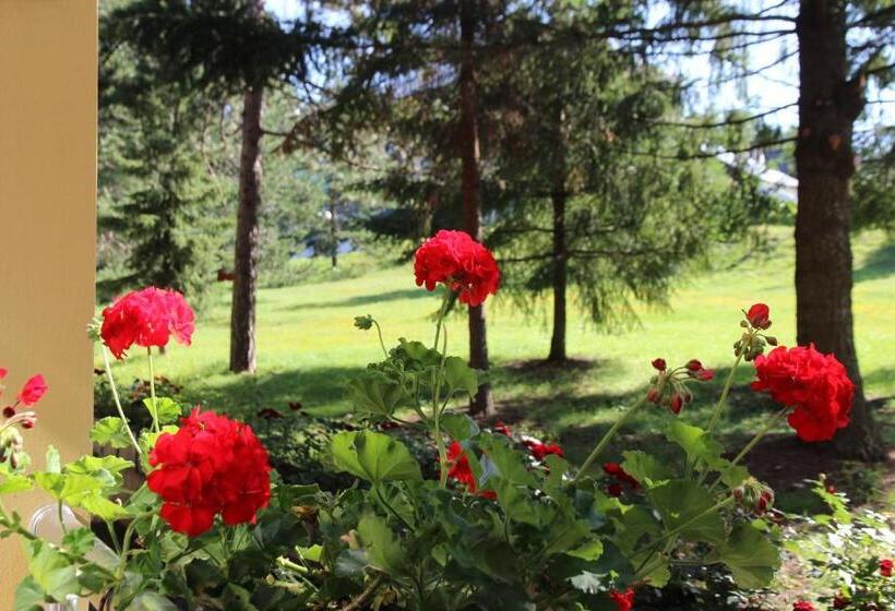 اتاق استاندارد سه نفره, President Garni