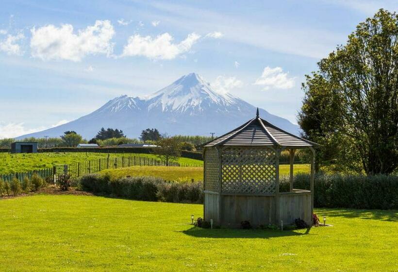 스탠다드 스튜디오, Amity Court Motel