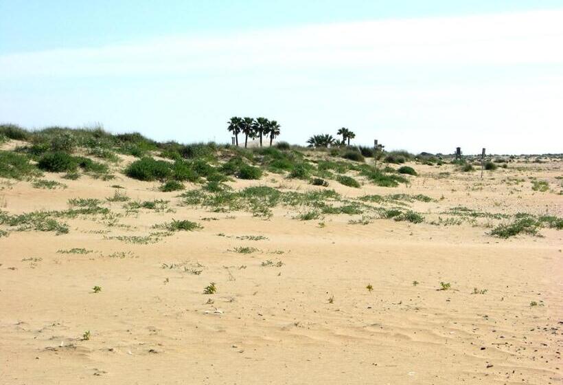 דירת חדר שינה עם טרסה ונוף לים, Apartamentos Calypso