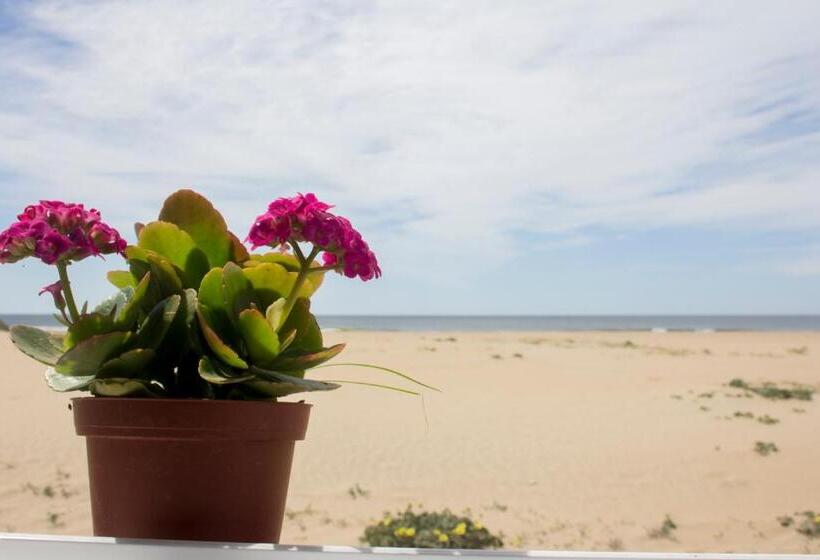 דירת 2 חדרים נוף לים, Apartamentos Calypso